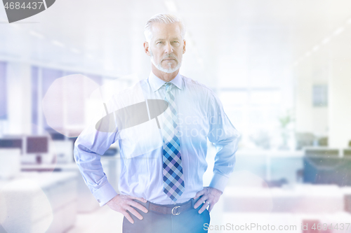 Image of Senior businessman in his office