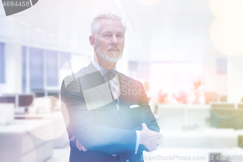 Image of Senior businessman in his office