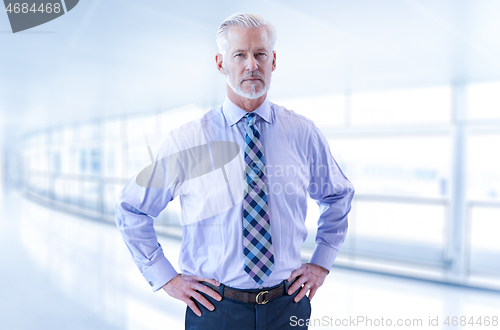 Image of Senior businessman in his office