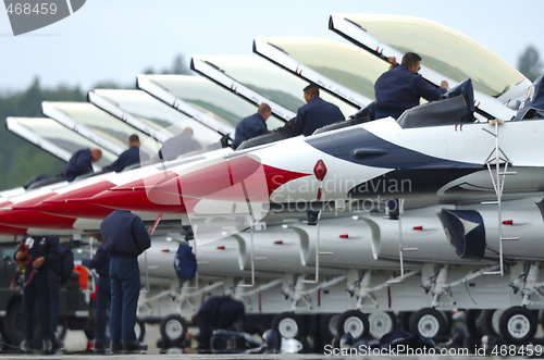 Image of Canopies of Thunderbirds