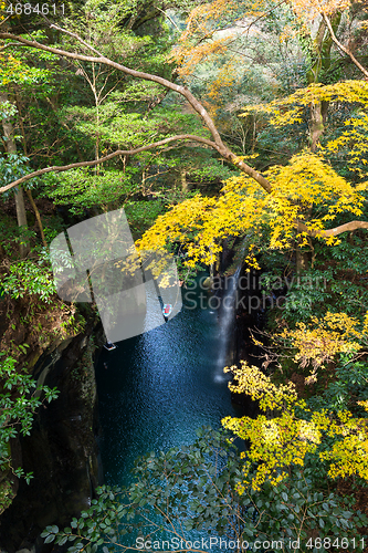 Image of Yellow leaves in Takachiho Gorge