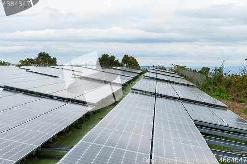 Image of Solar panel plant