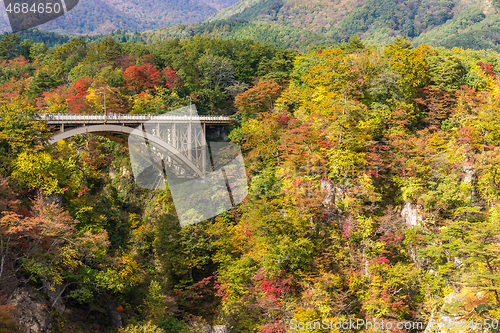 Image of Bridge passing though Naruko Gorge