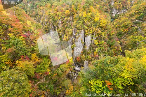 Image of Naruko canyon with autumn foliage