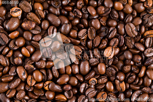 Image of Coffee bean