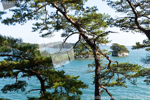 Image of Matsushima in Japan