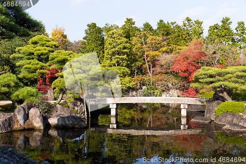 Image of Japanese garden in autumn season