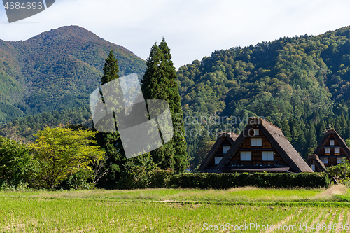 Image of Traditional and Historical Japanese village