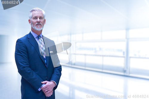 Image of Senior businessman in his office