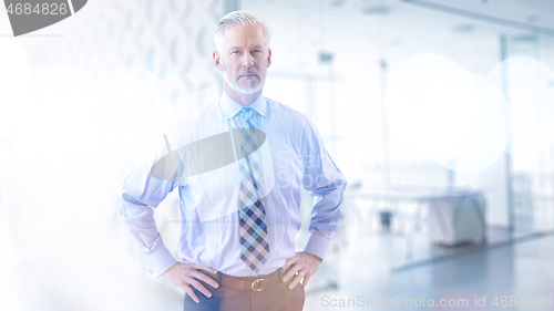 Image of Senior businessman in his office