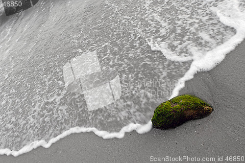 Image of Green moss covered rock