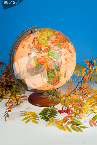 Image of Terrestrial Globe