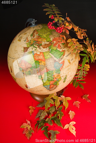 Image of Terrestrial Globe