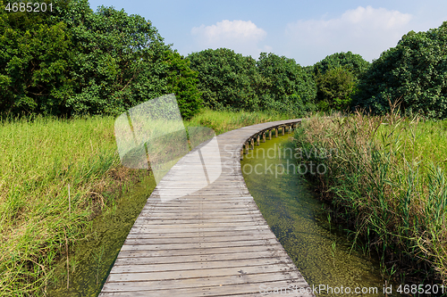 Image of Hong Kong Wetland Park wooden walk way