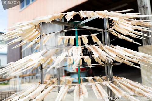 Image of Squid Drying on the stand