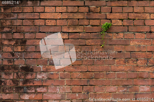 Image of Red brick wall