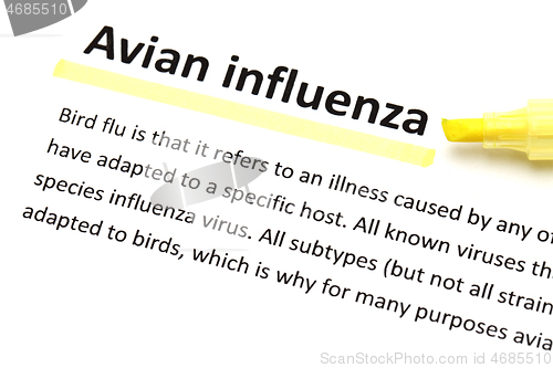 Image of English dictionary means of Avian influenza 
