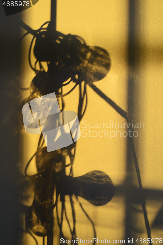 Image of whimsical shadows of bulbs and wires on a wall