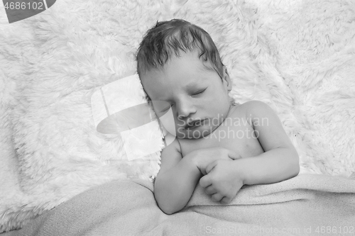 Image of cute newborn baby