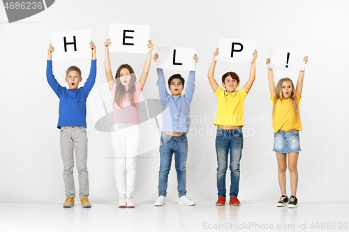 Image of Help. Group of children with a banners isolated in white