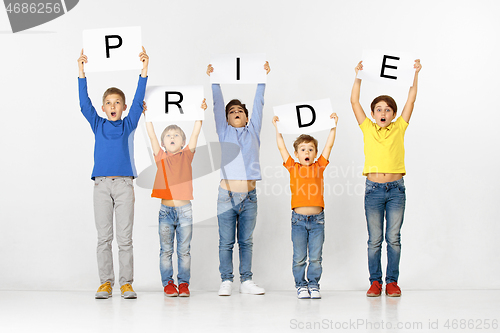 Image of Pride. Group of children with a banners isolated in white