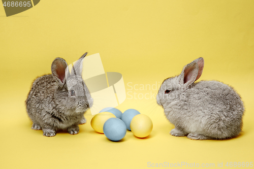 Image of Easter bunny rabbits with painted eggs on yellow background. Easter holiday concept.