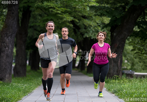 Image of runners team on morning training