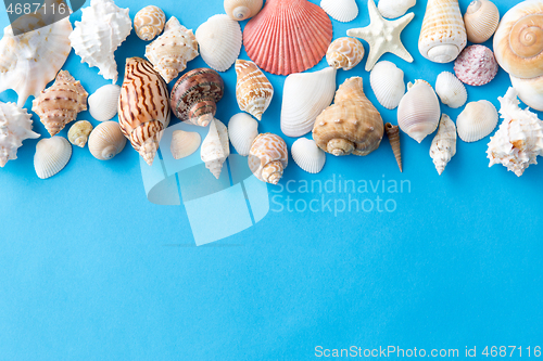 Image of different sea shells on blue background