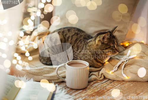 Image of tabby cat lying on window sill with book at home