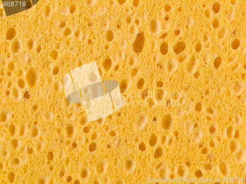 Image of Sponge background