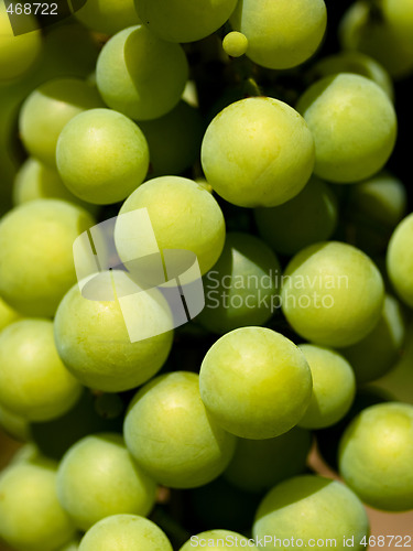 Image of Green grapes closeup