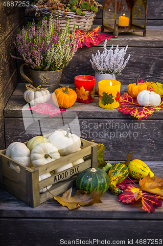 Image of Autumn garden decoration on terrace and patio with pumpkins and heather plant 