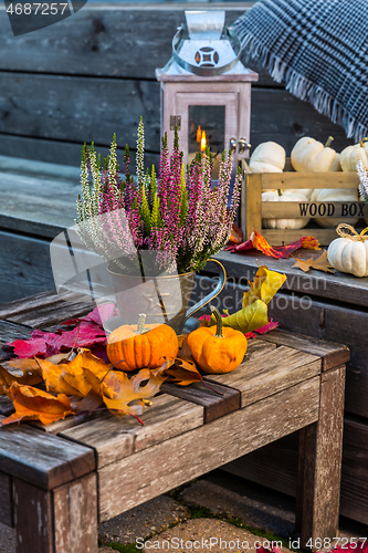 Image of Autumn garden decoration on terrace and patio with pumpkins and heather plant 