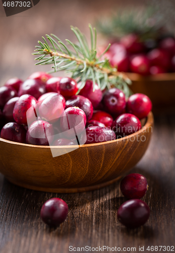 Image of Ripe organic cranberries in wooden bowl on wooden background