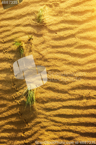 Image of Yellow sand in desert