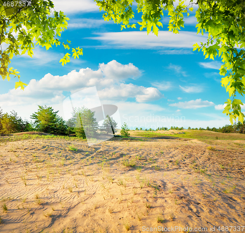 Image of Sunlight over sandy desert