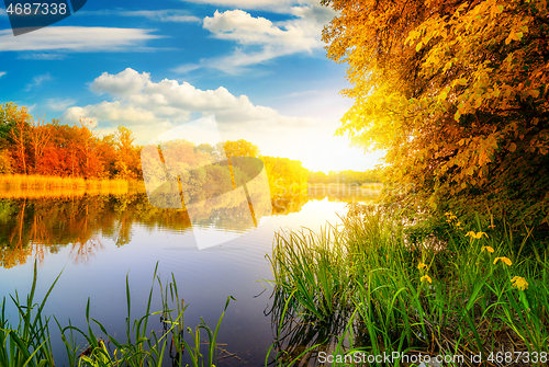 Image of Autumn on river