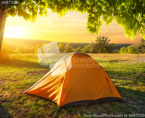 Image of Tent near forest