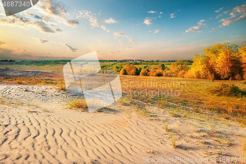 Image of Desert in autumn