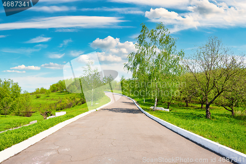 Image of Road in the park