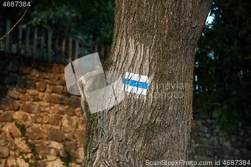 Image of Hiking trail signs