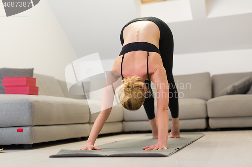 Image of Beautiful blonde woman doing home workout indoors. Woman practice yoga at home. Fit girl using workout tutorials for healthy active lifestyle. Woman using quarantine for home workouts.