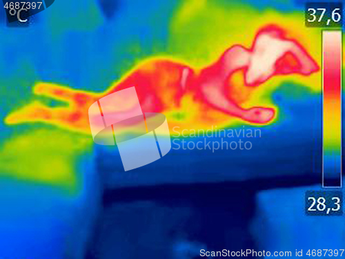 Image of Thermal image Young woman is lying on the bed