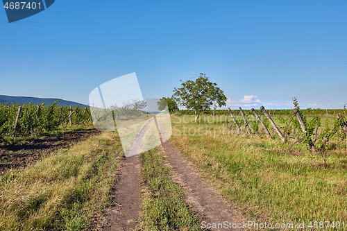 Image of Country dirt road through farmlands