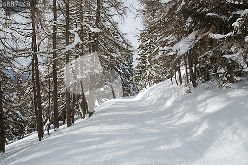 Image of Winter Snowy Mountain Landscape