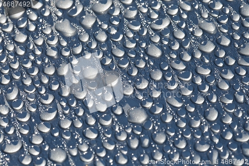 Image of Shiny Water Droplets