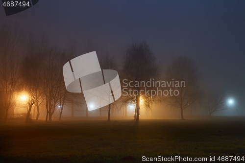 Image of Foggy mysterious night in the park