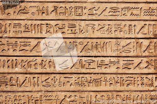 Image of Ancient Hieroglyphic Script