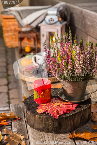 Image of Autumn garden decoration on terrace and patio with pumpkins and heather plant 