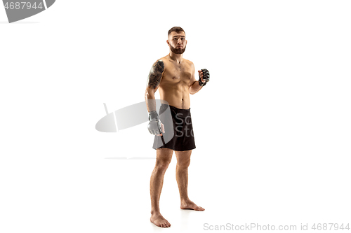 Image of professional fighter boxing isolated on white studio background